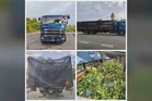 Lelaki dicekup bawa 20,000 pokok kopi