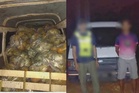 Upah RM100 bawa durian Musang King, Mon Thong seludup, lelaki dicekup PGA