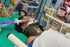 Operasi tangkap anjing liar bertukar kecoh, MBDK tegaskan ikut SOP