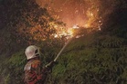 Kawasan hutan berhampiran IPD Sepang terbakar