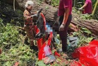 Empat maut, seorang kanak-kanak cedera kenderaan dinaiki dihempap pokok