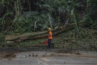 Tragedi pokok tumbang: Pengurusan risiko tidak boleh lagi bersifat reaktif