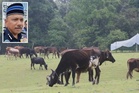 Sindiket curi lembu tumpas, 10 termasuk dua wanita ada rekod dadah, jenayah ditahan