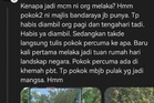 Sangka percuma punca pengunjung angkut pokok hiasan MBJB