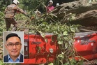 Tragedi pokok tumbang: Kerajaan disaran wujudkan zon bebas pokok di laluan berisiko