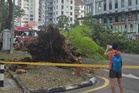 Pokok tumbang hempap kereta dinaiki suami isteri, cucu
