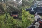Lelaki maut dibunuh di kebun kelapa sawit