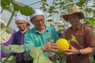 Kelantan peruntuk RM3.64 juta laksana 10 projek tanaman makanan