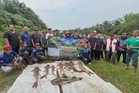Tiga hari tewaskan 'kerbau sungai' seberat 268.9kg