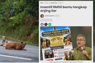 Isu anjing liar: 'Jangan seperti anjing menyalak bukit, kemuka solusi terbaik' -MBS