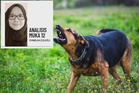 Salah anjing atau manusia?