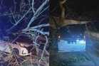 Enam sekeluarga cemas MPV dihempap pokok tumbang ketika masuk simpang rumah