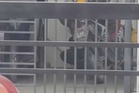 Polis tangkap lelaki pukul kucing