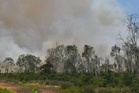 Ladang 29 hektar terbakar di Kota Tinggi