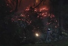 0.4 hektar hutan di Puchong terbakar