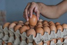 Harga telur tak lagi murah