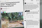 Keluarga nafi anjing liar serang Haira milik datuk mangsa