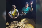 'Raja Penyu' kembali, 81 telur ditemui di Rantau Abang