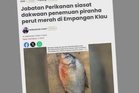 Visual ikan didakwa pirana di Empangan Klau dihantar ke IPP untuk pengesahan spesies
