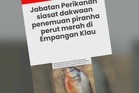 Ikan asing ditemukan di Empangan Klau miliki ciri ikan piranha