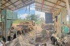 Kilang kayu proses hasil hutan tidak bercukai diserbu