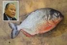 Empangan Klau terus dipantau kesan perkembangan isu ikan larangan, piranha - DOF