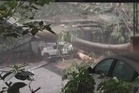 'Dah lama kami adu pokok besar, tanah bergerak'