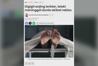 Rabies: JPVK ingatkan orang ramai jangan ambil tindakan sendiri