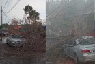 Pokok tumbang hempap kereta di Kampung Sungai Ramal Dalam