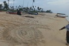 Penyu belimbing mendarat kali keempat di Pantai Terengganu