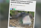 Kemalangan elektrik di Kapar bukan pepasangan milik TNB