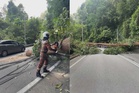 Pokok tumbang lintangi jalan, trafik Batu Ferringhi terjejas
