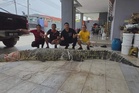 Buaya lebih 400kg ditangkap di Sungai Rajang, seekor lagi masih diburu
