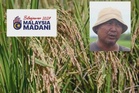 Belanjawan 2027: PeSAWAH tuntut nafas baharu