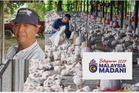 Kos makanan ternakan naik, penternak harap Belanjawan 2027 jadi penyelamat