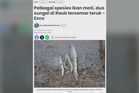 JAS siasat isu pencemaran Sungai Gali, Lampan di Raub