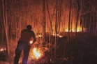 Jerebu: Dedahkan 57 syarikat 'dalang' kebakaran hutan Indonesia - SAM