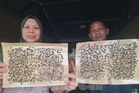 'Tidur pun kena hurung lalat'