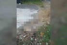 Mayat bayi tanpa kepala: Polis tahan seorang wanita