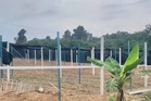 Tanaman sireh, kediaman etnik Rohingya di Tanah Merah disita