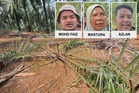 Pekebun rugi puluhan ribu, kebun sawit 'dikerjakan' gajah
