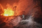 Guthrie nafi dakwaan cetus kebakaran hutan di Indonesia