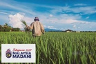 Belanjawan 2027: PeSAWAH sambut baik insentif, harap disalur segera hadapi kos operasi
