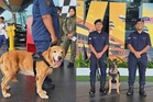 Penugasan unit K9 di KLIA bermula Isnin - MAHB