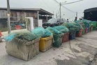 Sorok bubu naga dalam tong ais
