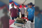 Tiada ikan piranha ditangkap sempena program mitigasi ikan asing di Empangan Klau
