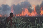 Onn Hafiz nafi JCorp terlibat kebakaran hutan Indonesia