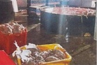 Renjat ayam hingga mati, premis di Puchong sembelih bangkai - MAIS