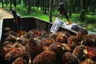 Harga minyak sawit mentah dijangka kekal lebih RM4,700 pada Oktober