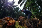 Kelantan, Perlis, Sabah negeri bergaji terendah